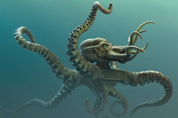 Kraken пользователь не найден при входе