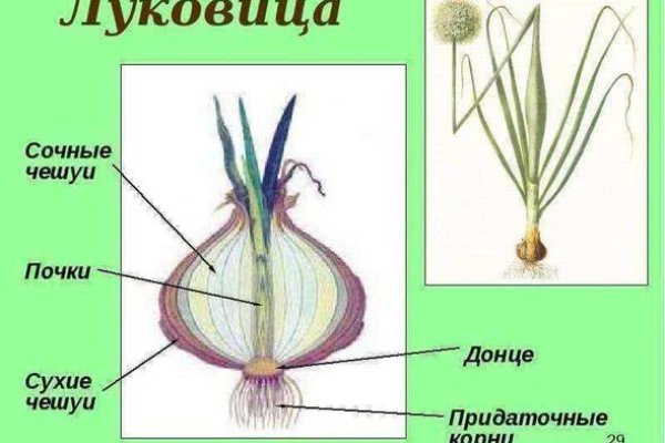 Кракен сайт зеркало рабочее