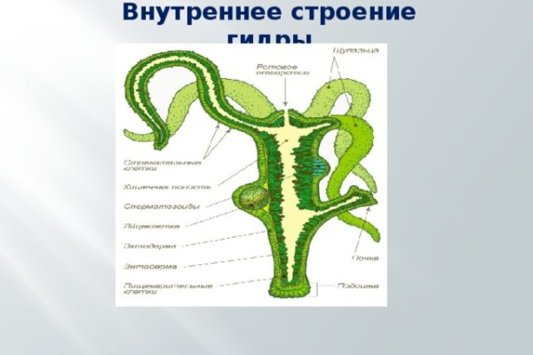 Kraken купить клад