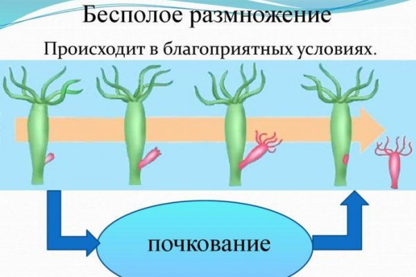 Кракен 2krnk